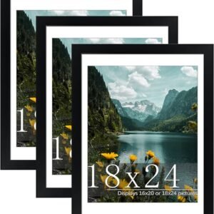 Frame 18x24